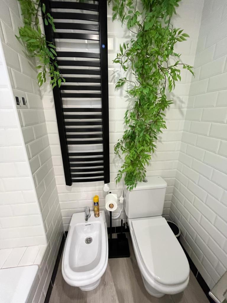 Small Oasis P&o Serviced *